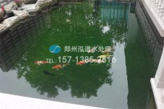 广州养殖鱼池水处理设备项目